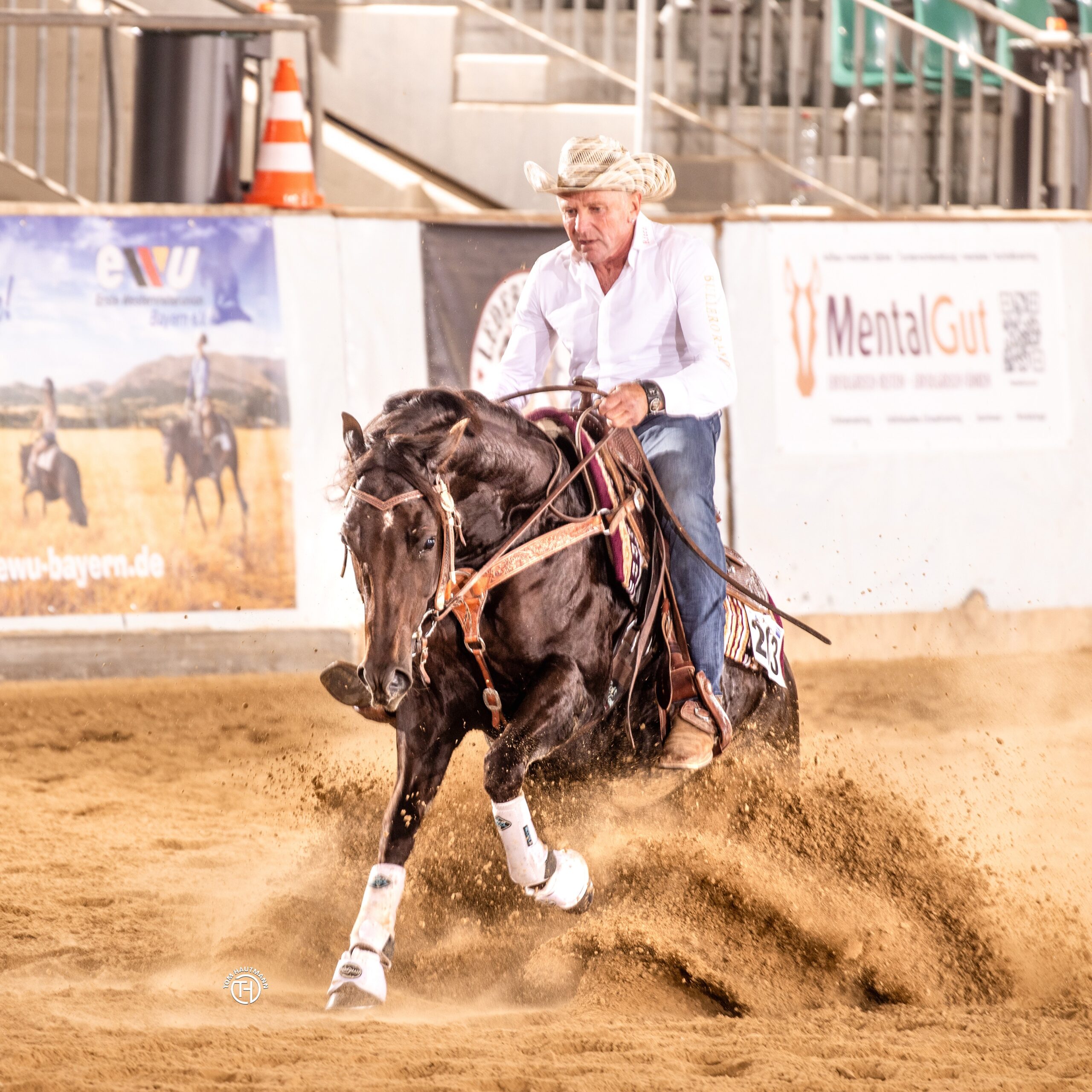 Reiten
